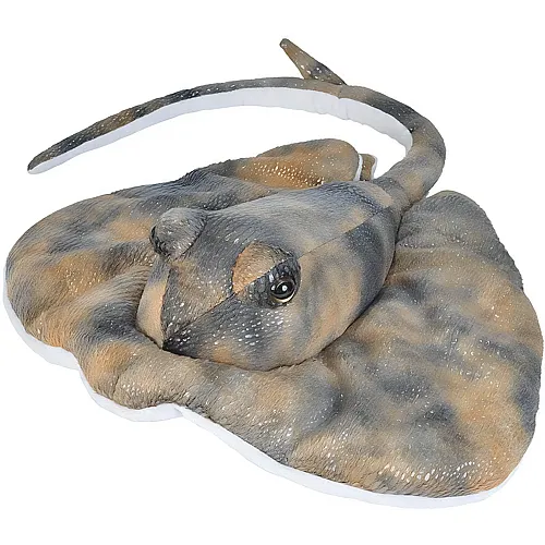 Wild Republic Aquatic S�dlicher Strahl - 30 cm