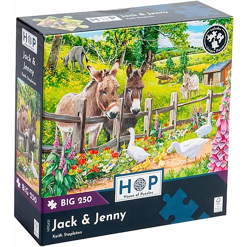 Jack & Jenny 250Teile