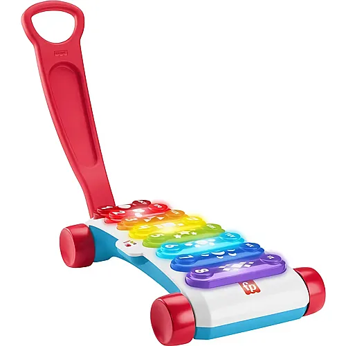 Fisher-Price Leuchtendes Riesen-Xylophon (DE)