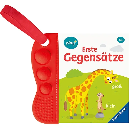 Erste Gegens�tze