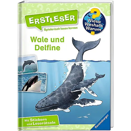 Erstleser: Wale und Delfine Nr.3