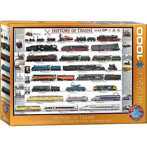 Geschichte der Eisenbahn 1000Teile