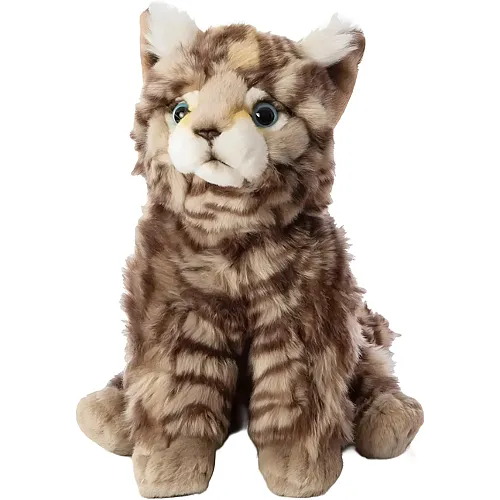 Wildkatze 25cm