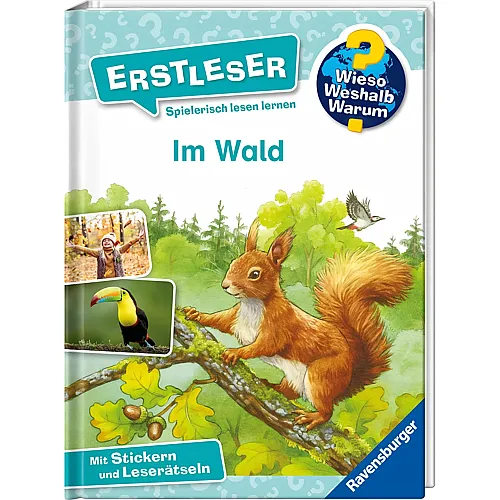 Erstleser Im Wald Nr.17