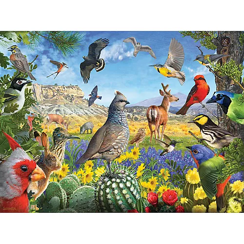 SunsOut Puzzle R. Christopher Vest Texas Birds - 1000 Teile