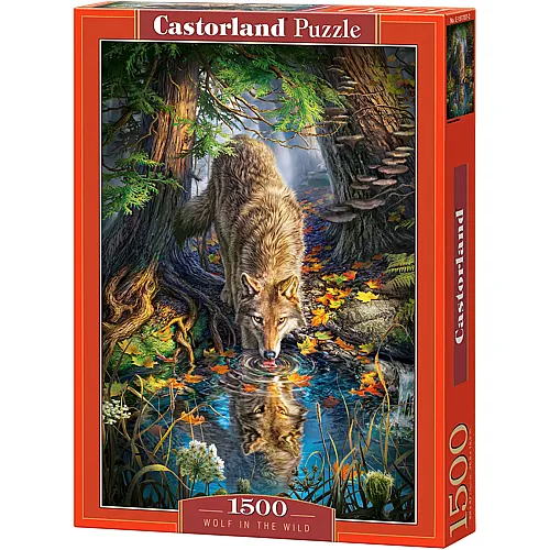 Castorland Puzzle Wolf in the Wild - 1500 Teile