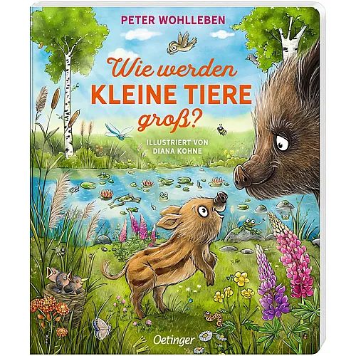 Oetinger Wie werden kleine Tiere gro�?