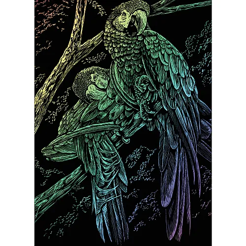Royal & Langnickel R&l Gravures D'art Std Arc-en-ciel Oiseaux Exotiques 21.3x29