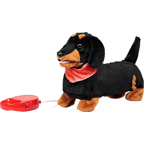 Hund mit Fernbedienung