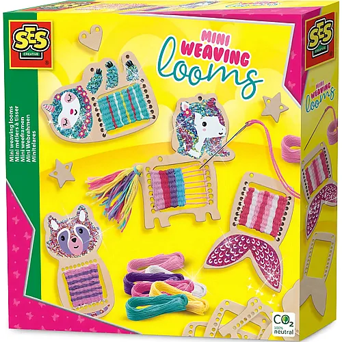 SES Mini-Webrahmen
