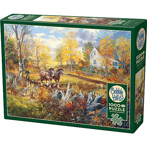 Cobble Hill Puzzle Neuanfang - 1000 Teile
