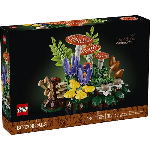 Waldpilze 11505