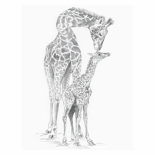 Royal & Langnickel R&l Sketching Std Girafes 24x33cm