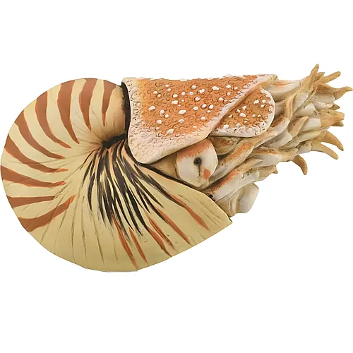 CollectA Prehistoric World Nautilus pompilius