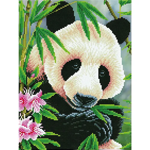 Panda Prinz