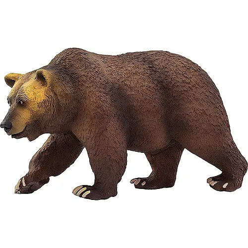 Grizzly Br