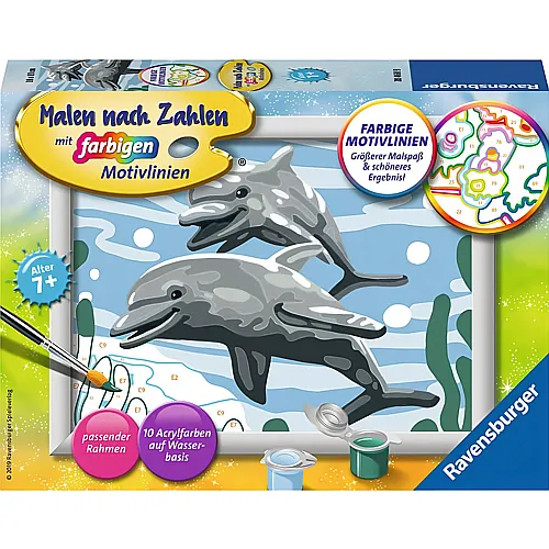 Ravensburger Malen nach Zahlen Farbige Motivlinien Freundliche Delfine