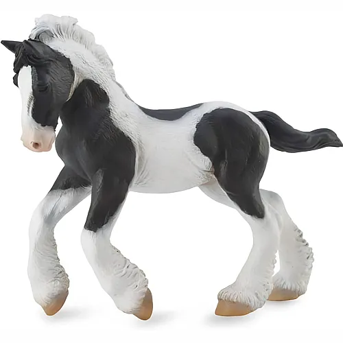CollectA Horse Country Tinker-Fohlen