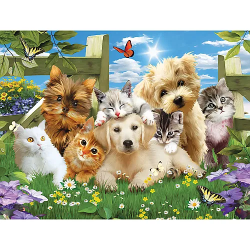 SunsOut Puzzle Jonathan Robinson Pups n Kittens - 300 Teile