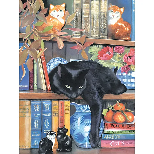SunsOut Puzzle Chrissy Snelling On the Shelf - 1000 Teile