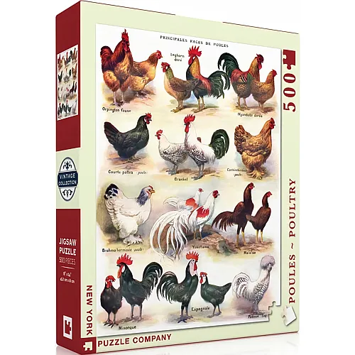 Poules - Poultry 500Teile
