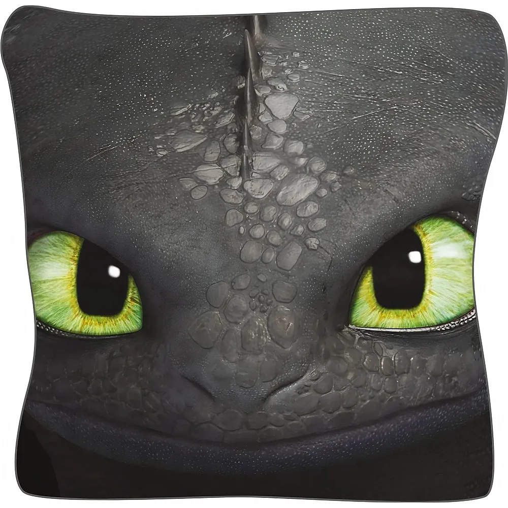 United Labels Dreamworks Dragons Ohnezahn / Toothless Kissen 40x40 - Suche