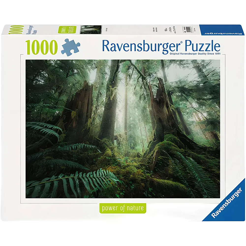 Ravensburger Puzzle Power of Nature Faszinierender Wald - 1000 Teile