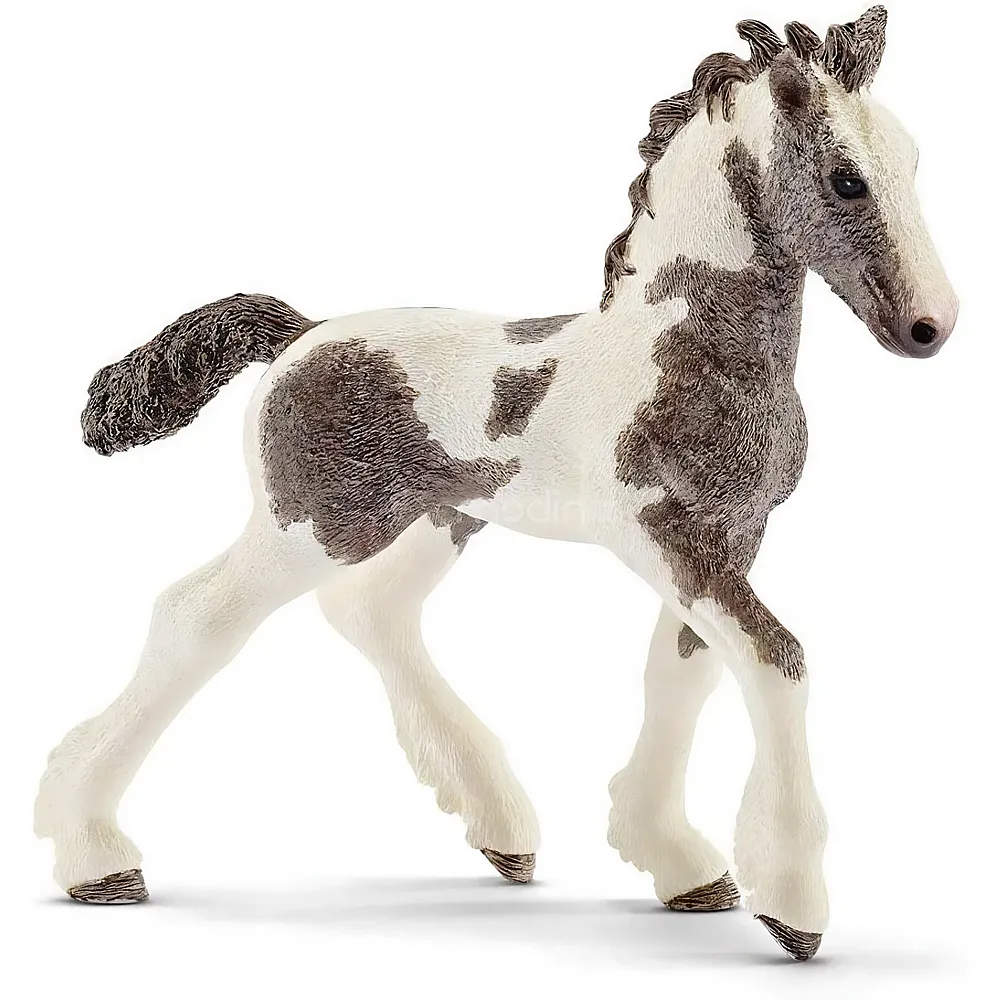 Schleich Horse Club Tinker Fohlen - Pferde