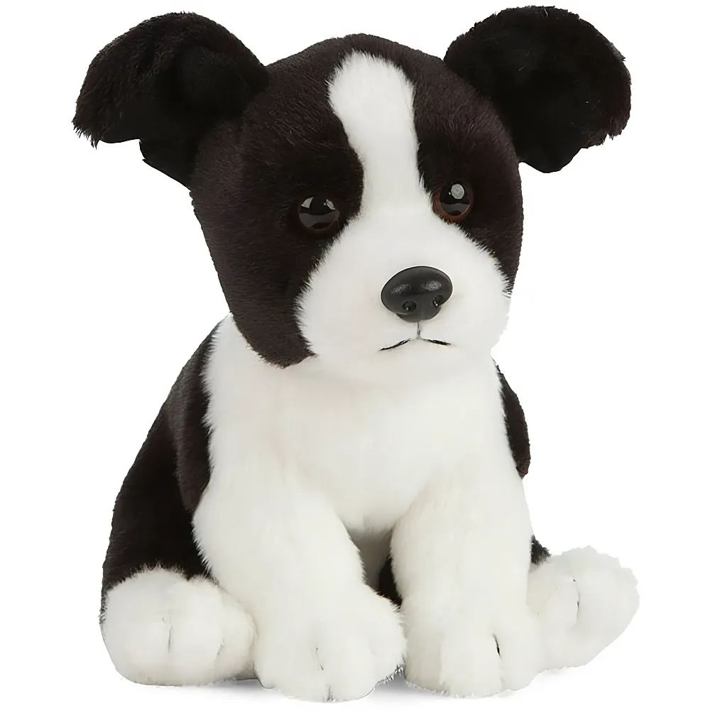 Living Nature Border Collie Welpe 16cm