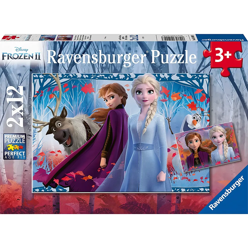 Ravensburger Puzzle Disney Frozen Reise ins Ungewisse 2x12