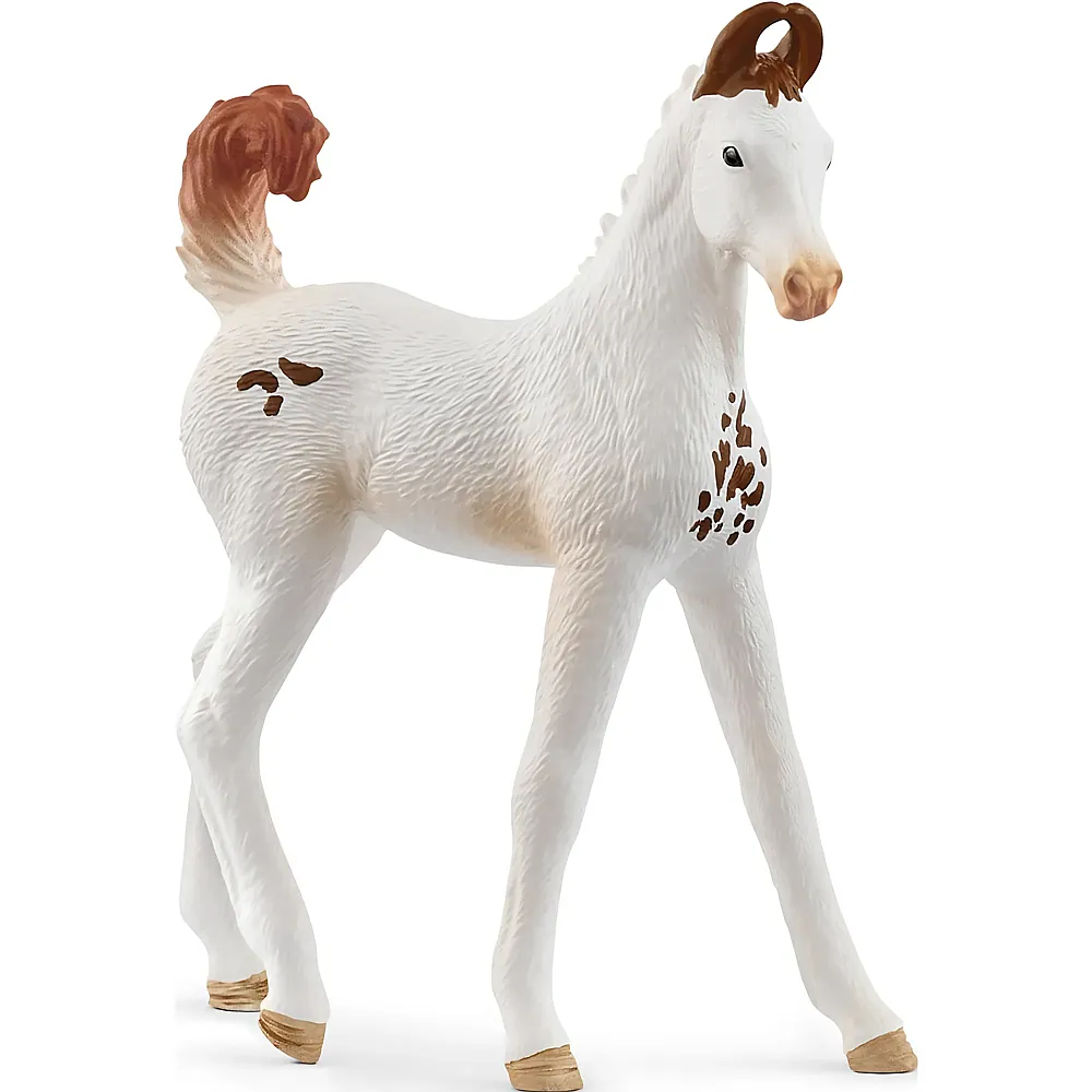 meinspielzeug - Schleich Horse Club Schleich Marwari Fohlen | Pferde