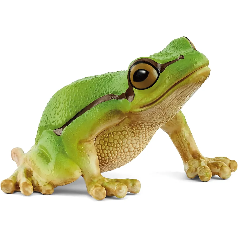 meinspielzeug - Schleich Wild Life Europ�ischer Laubfrosch | Waldtiere