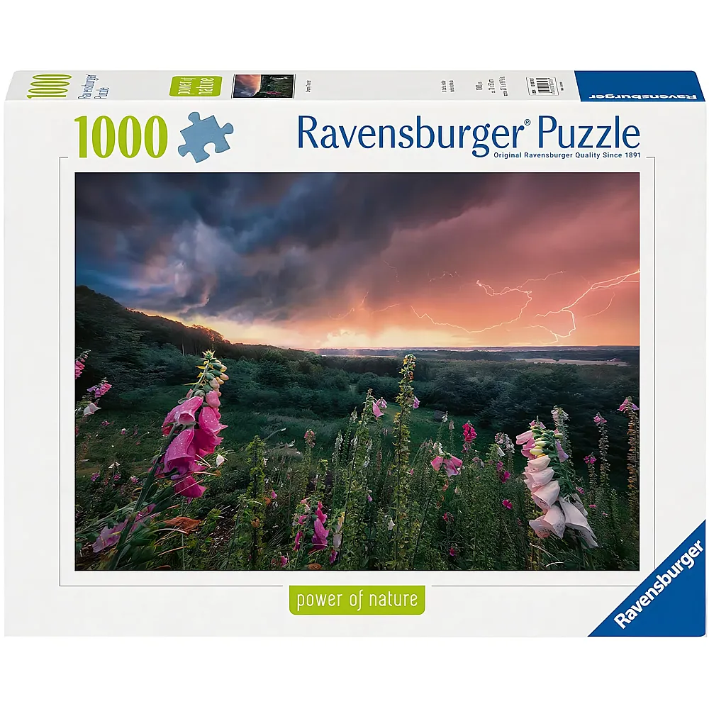 Ravensburger Puzzle Power of Nature Ein Sturm zieht auf - 1000 Teile