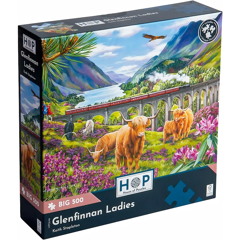HOP - House of Puzzles Glenfinnan Ladies 500Teile