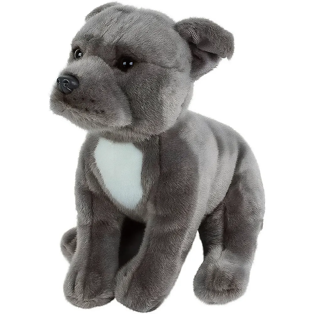 Teddys Rothenburg Pitbull American Staffordshire Terrier - 30 cm