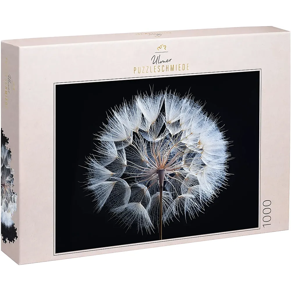 Ulmer Puzzleschmiede Pusteblume - Detailaufnahme eines reifen L�wenzahn - 1000 Teile