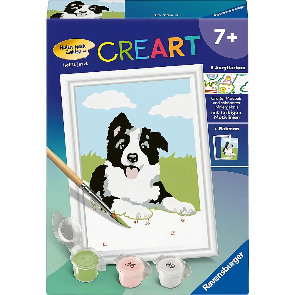 Ravensburger CreArt Malen nach Zahlen Border Collie Welpe