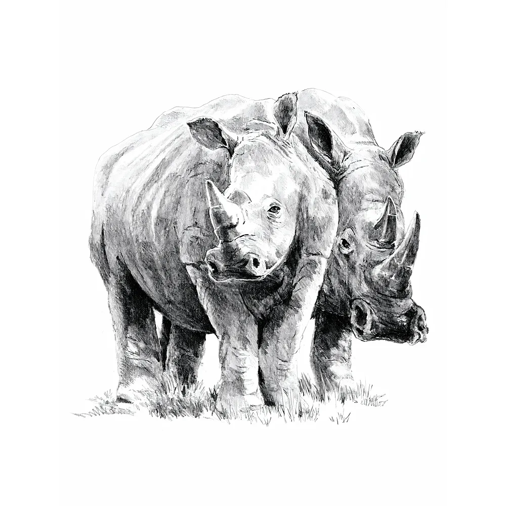 Royal & Langnickel R&l Sketching Std Rhinoceros 24x33cm - Suche