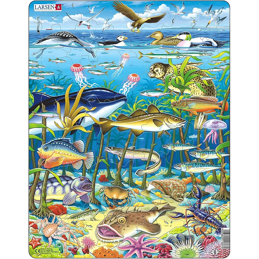 Larsen Puzzle Meeresbewohner - 60 Teile - Rahmenpuzzle