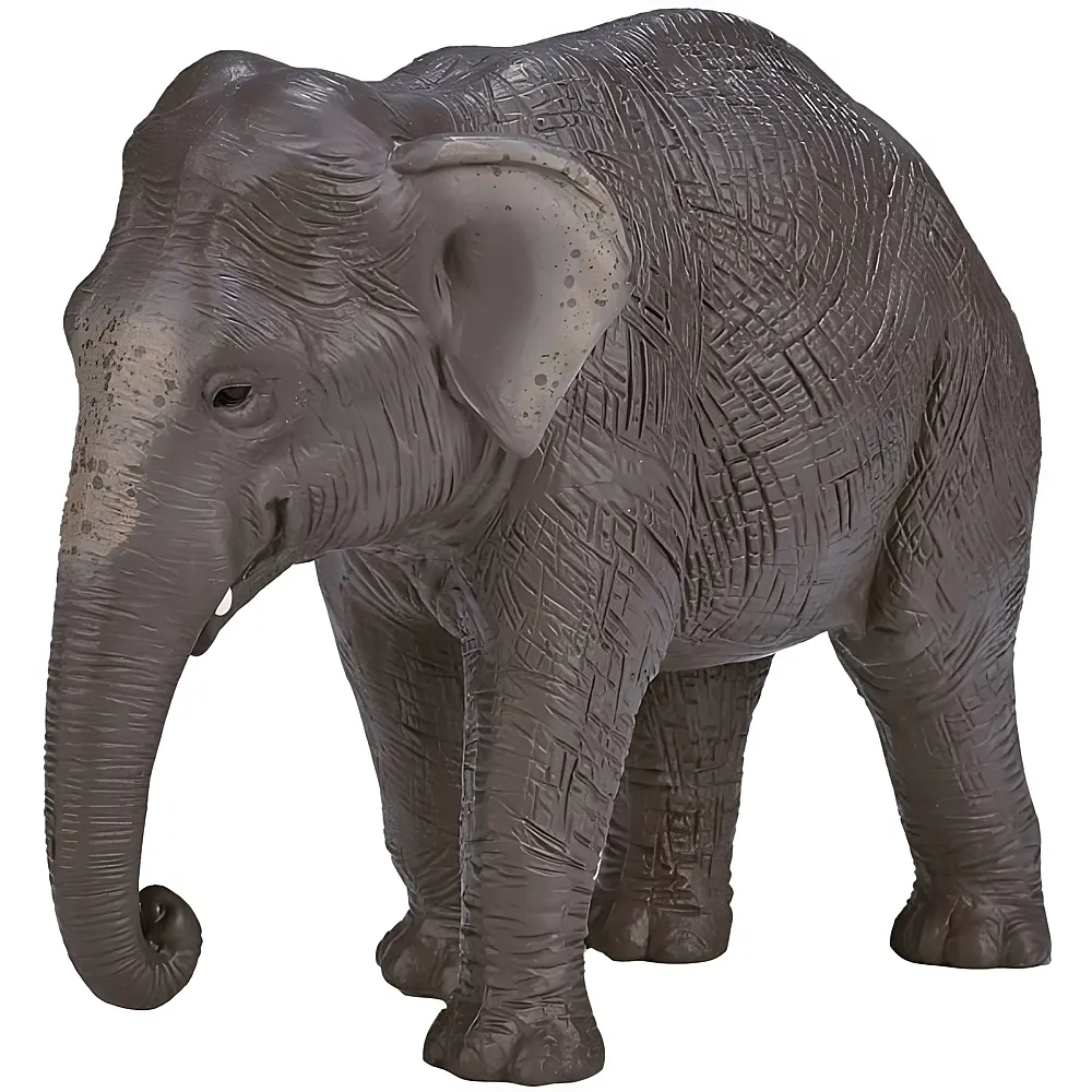 Mojo Wildlife Asiatischer Elefant