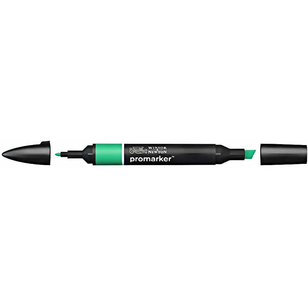 Winsor & Newton Promarker Stift mit 2 Spitzen Smaragd
