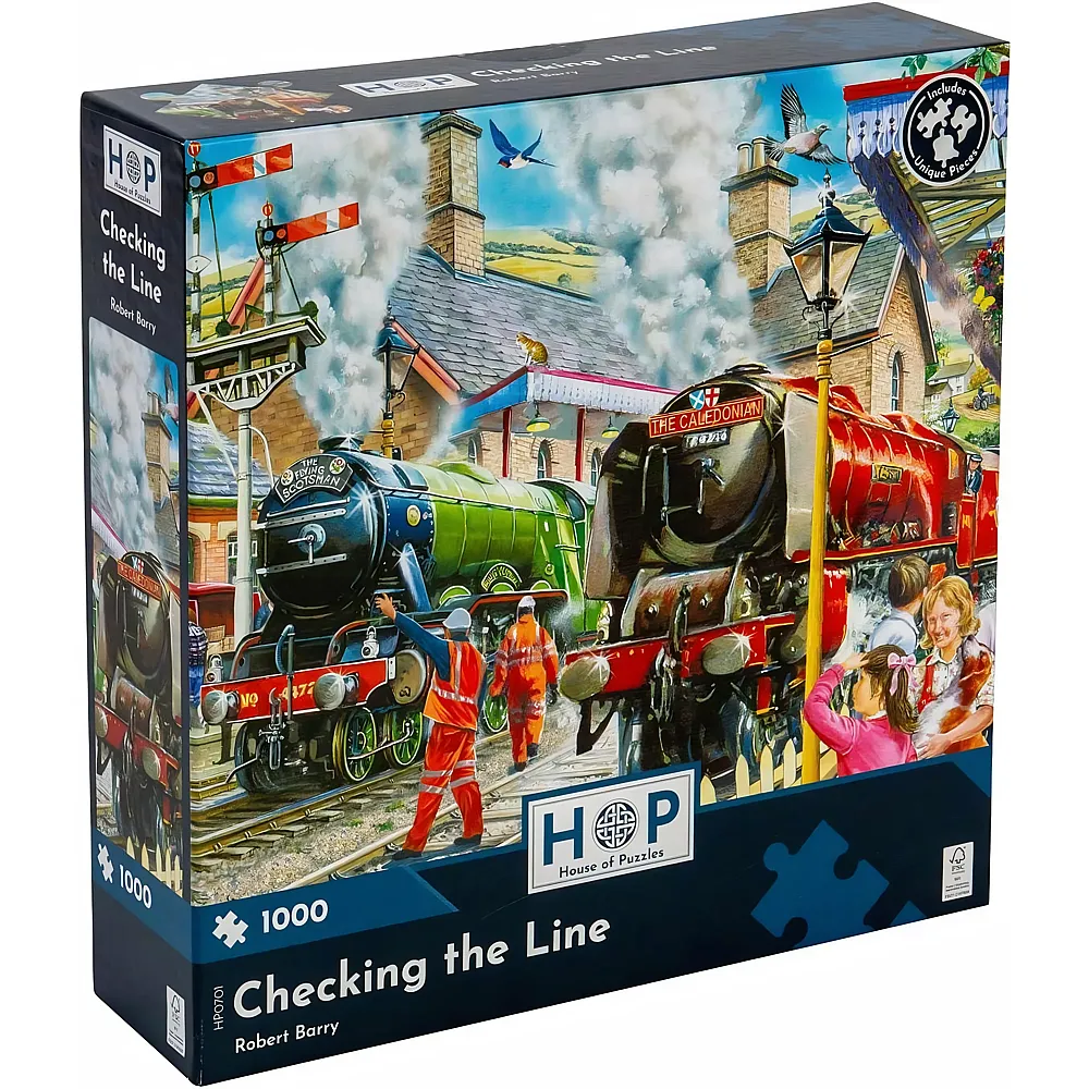 HOP - House of Puzzles Checking the Line - 1000 Teile