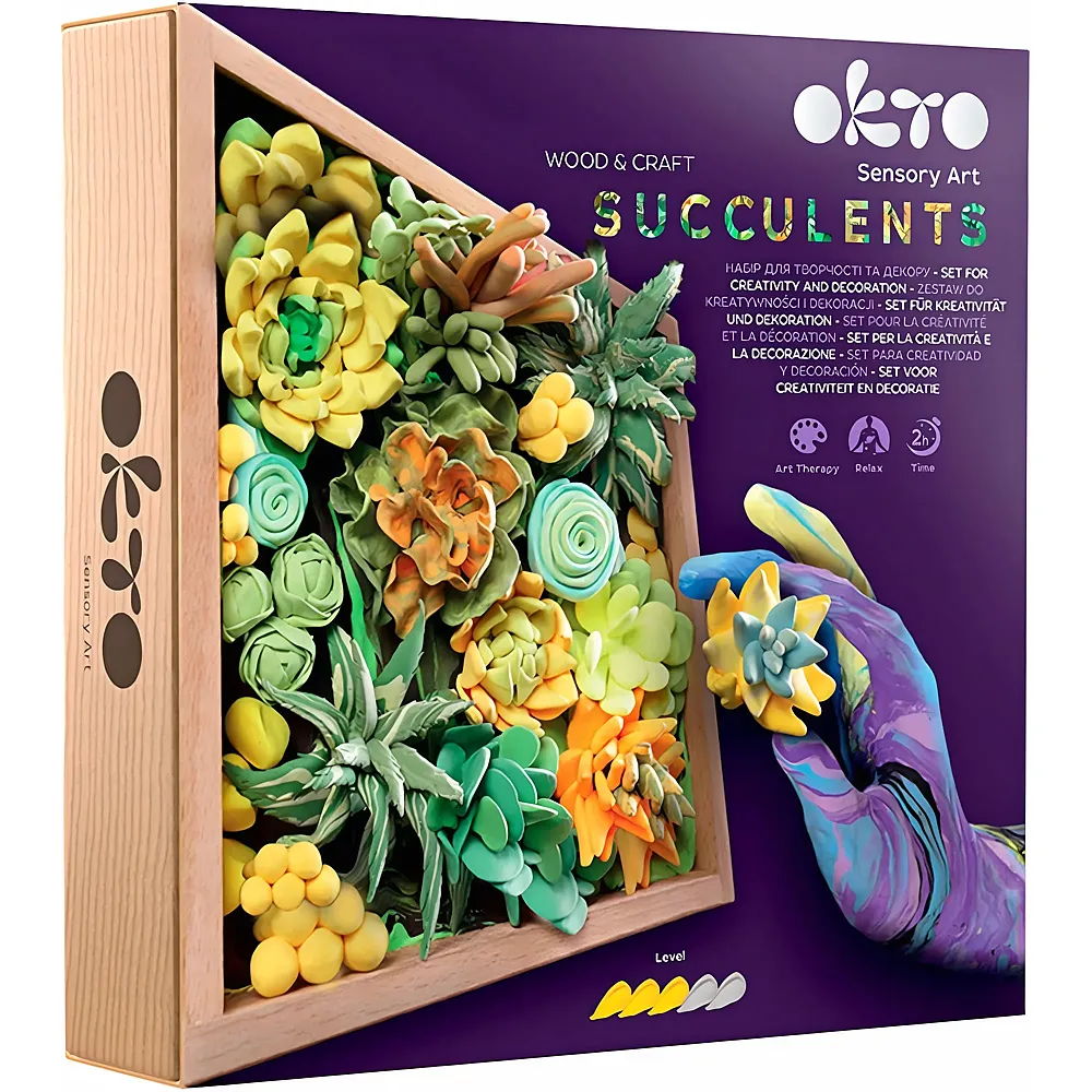 Okto Sensory Art Succulents Sukkulenten Modellierset im Holzkasten