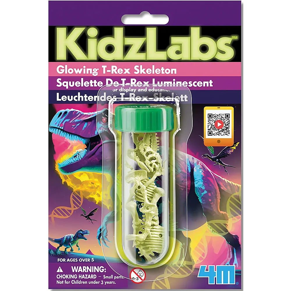 4m Leuchtendes T-Rex Skelett