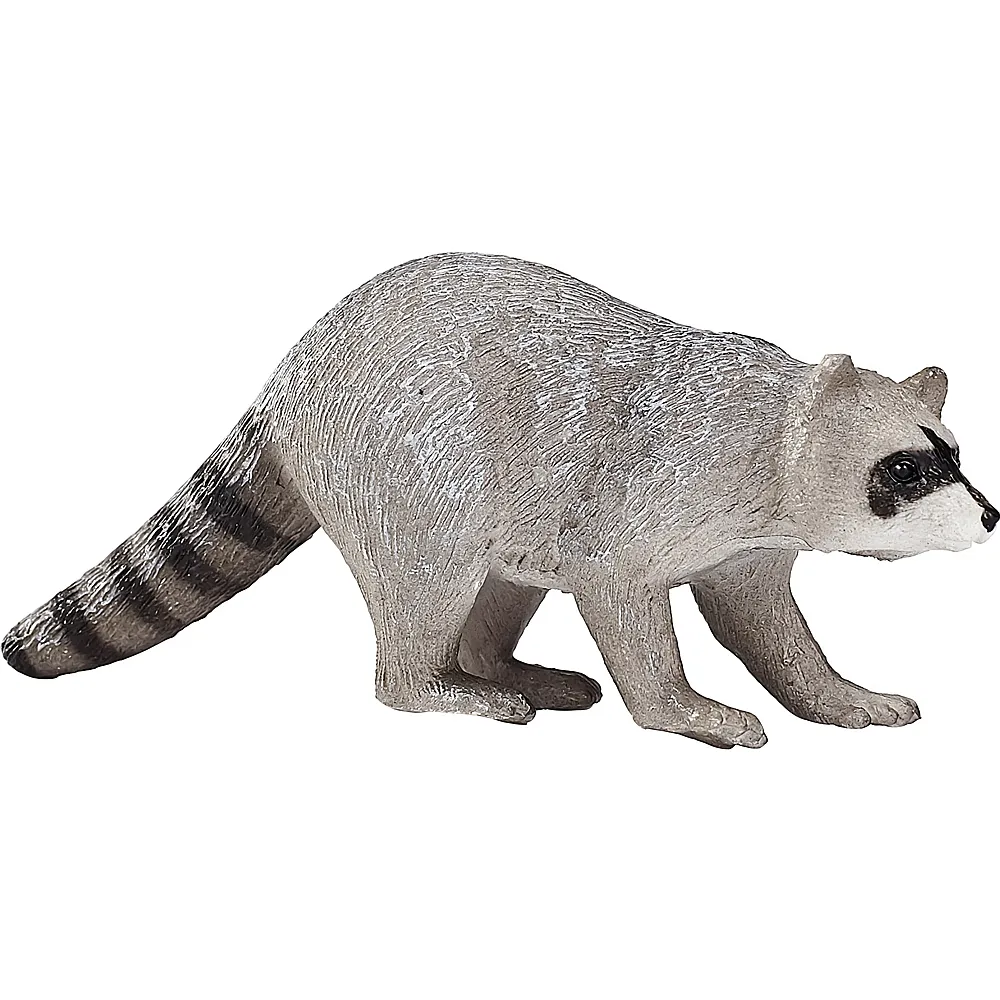 Mojo Wildlife Waschb�r