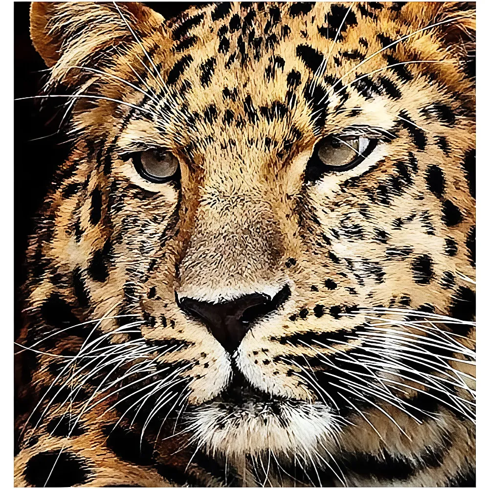 Diamond Painting Jaguar Kopf