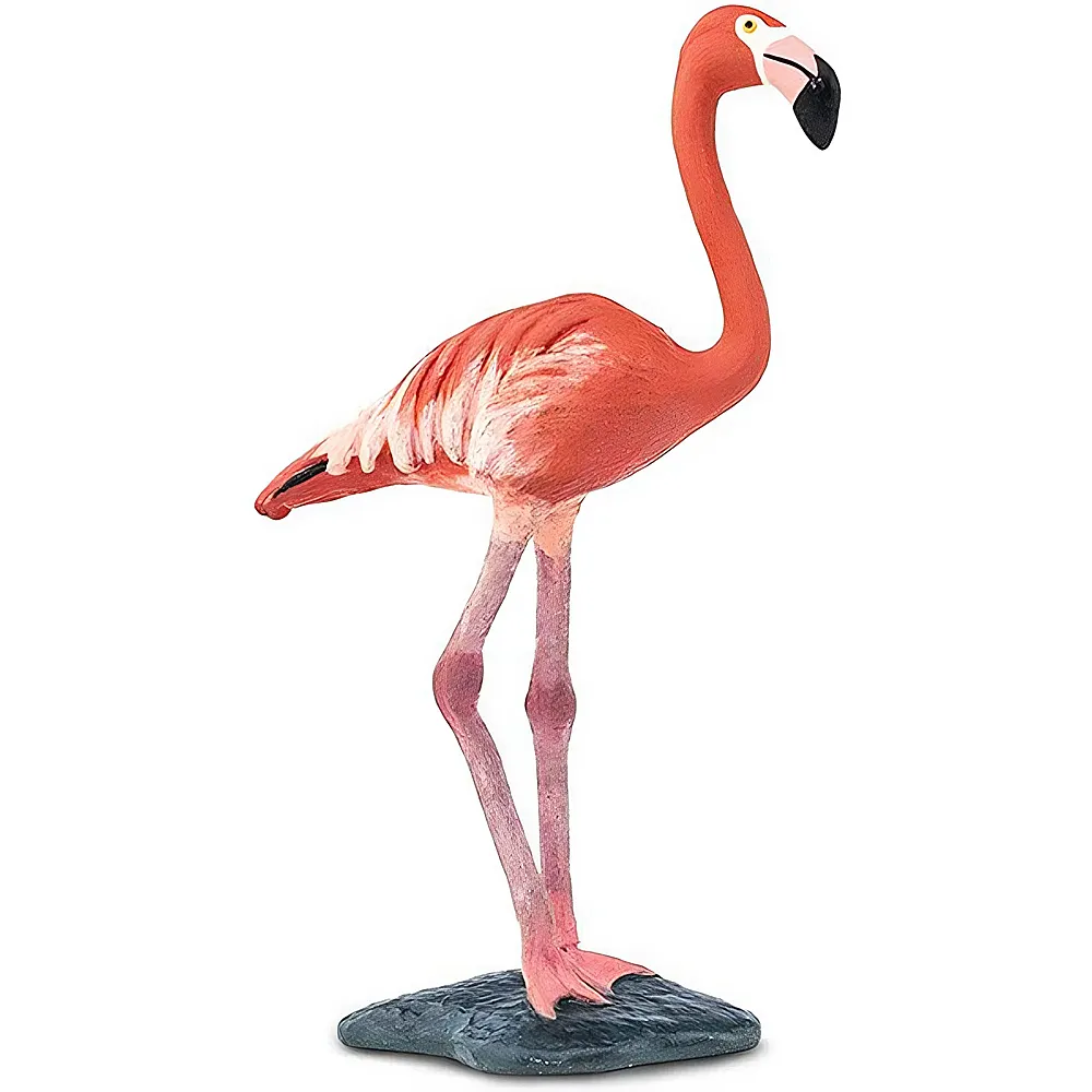 Safari Ltd. Wings of the World Flamingo | Vgel