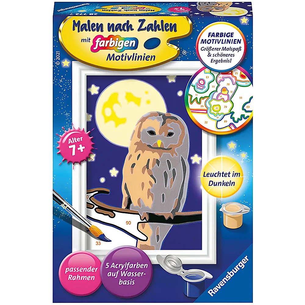 Ravensburger Malen nach Zahlen Farbige Motivlinien Nachteule