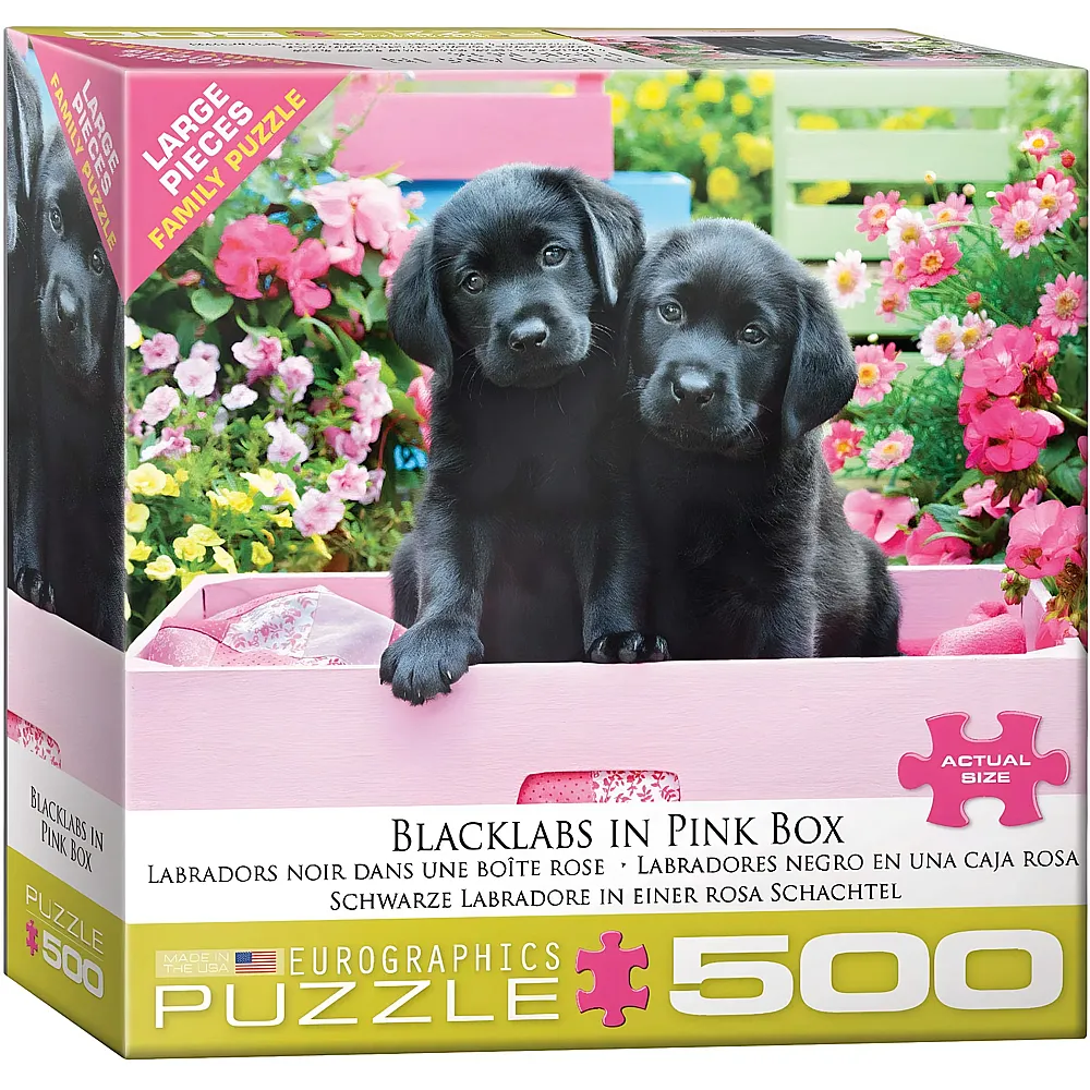 Eurographics Puzzle Black Labs in Pink Box - 500 Teile