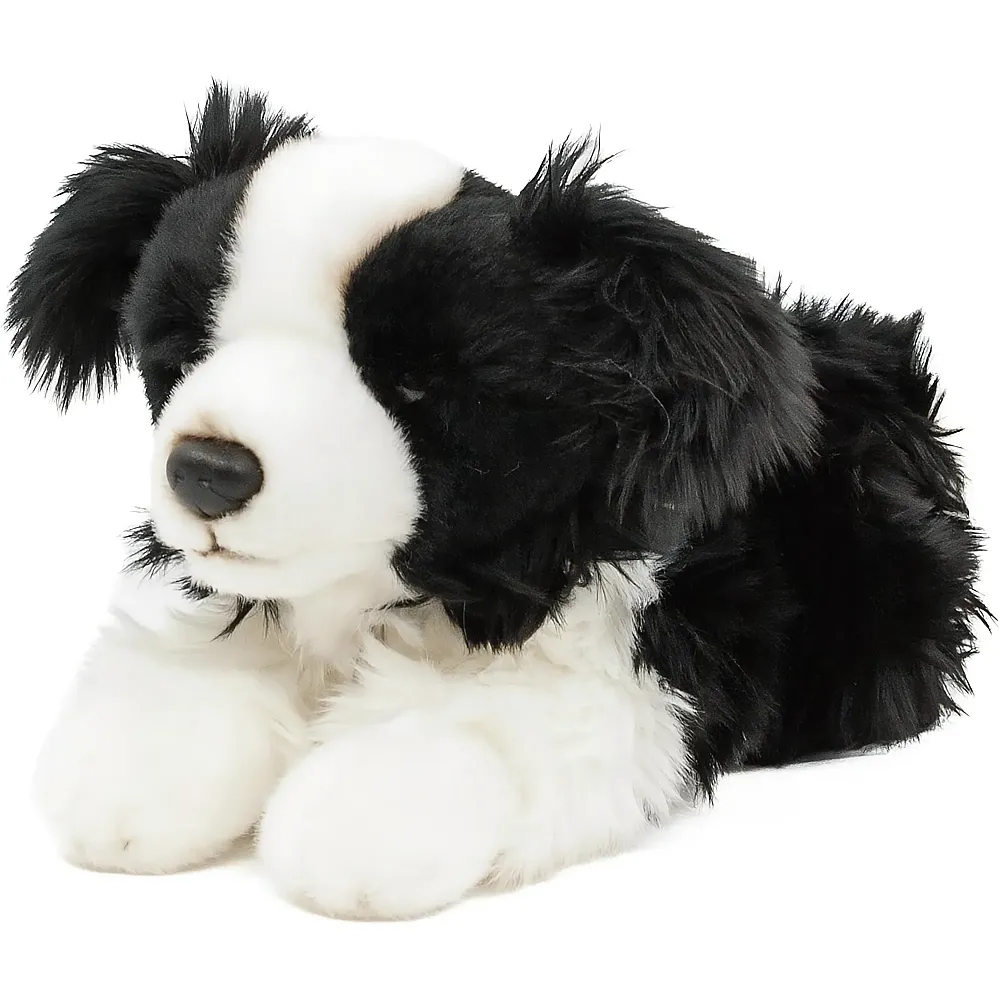 meinspielzeug - Teddys Rothenburg Border Collie liegend - 30 cm | Hunde Pl�sch